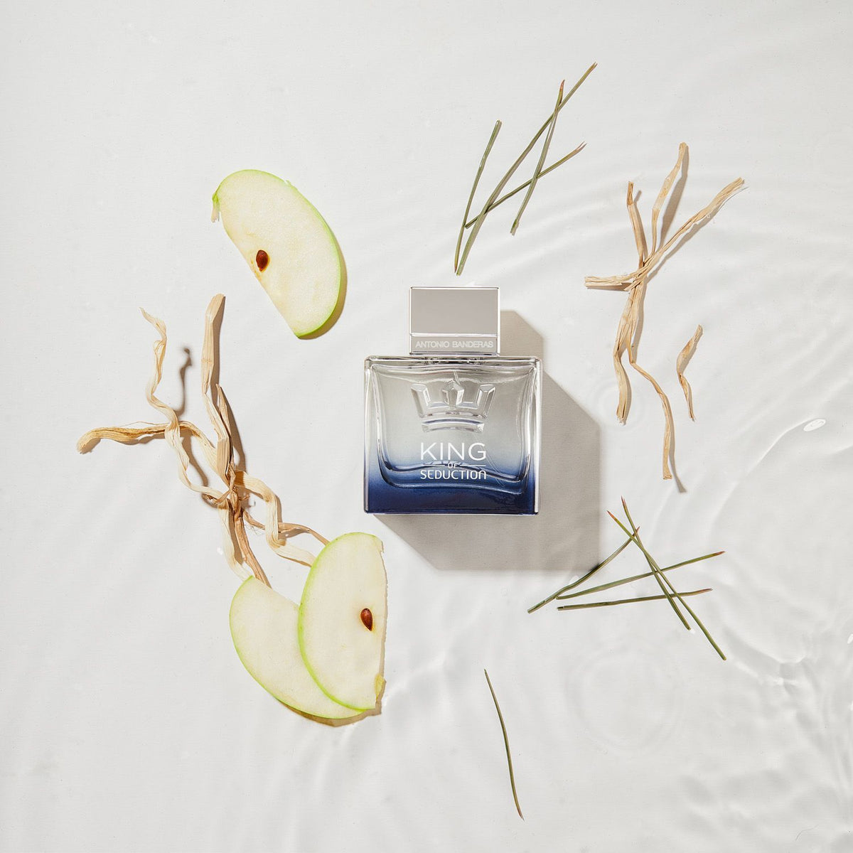 King Of Seduction de Antonio Banderas - perfume caballero (3)